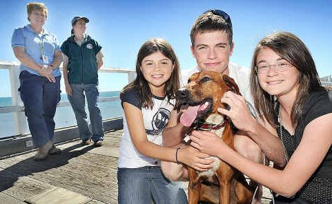 Eighteen-month-old Brandi is reunited with her owners Shanelle, Clancy and Savahna Adams from Gympie at Urangan Pier as Fraser Coast Regional Council compliance officer Sally Cripps and National Parks and Wildlife Service officer Natalie Kastner watch on. Eighteen-month-old Brandi is reunited with her owners Shanelle, Clancy and Savahna Adams from Gympie at Urangan Pier as Fraser Coast Regional Council compliance officer Sally Cripps and National Parks and Wildlife Service officer Natalie Kastner watch on.
